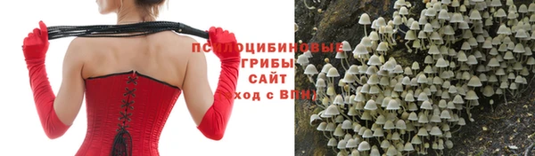 каннабис Алексеевка