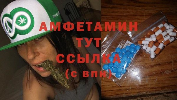 гашик Алзамай