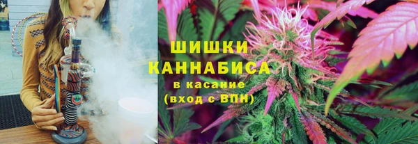 гашик Алзамай