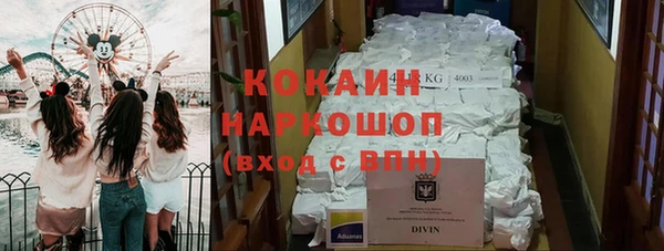 гашик Алзамай
