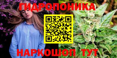 дживик Заволжье