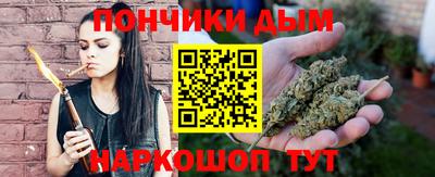 индика Жуковский